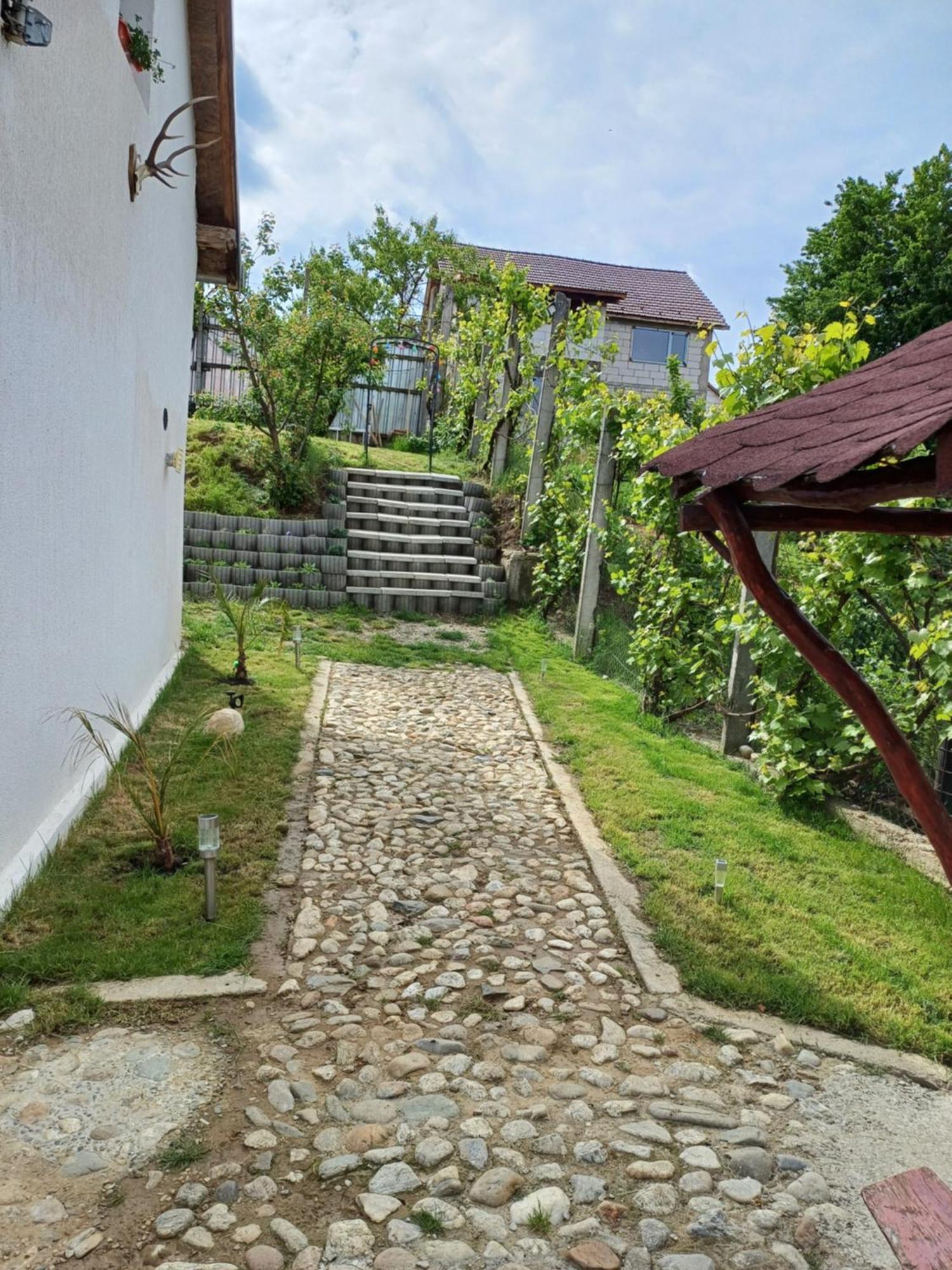 Cazare La Luiza B Sura Mare Buitenkant foto