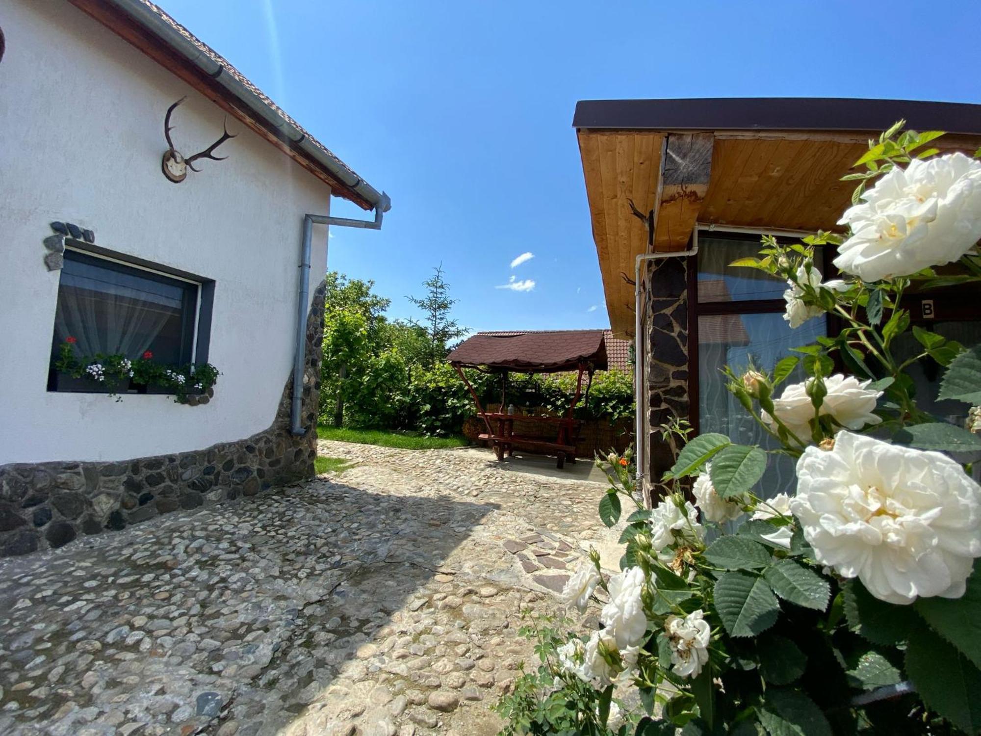 Cazare La Luiza B Sura Mare Buitenkant foto